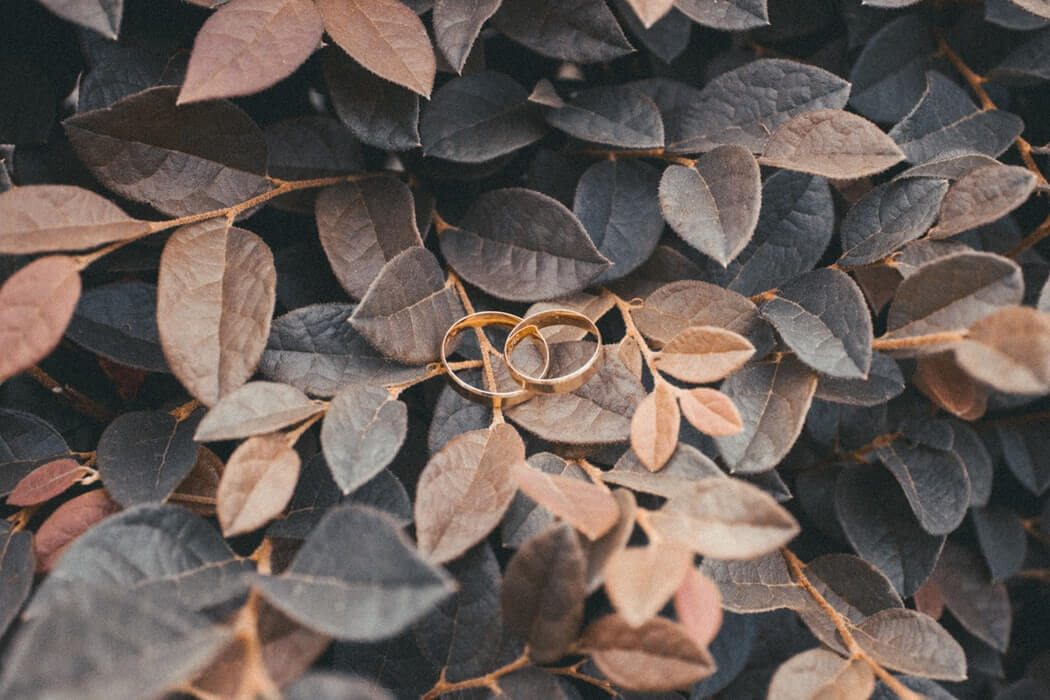 Wedding rings on leafy background