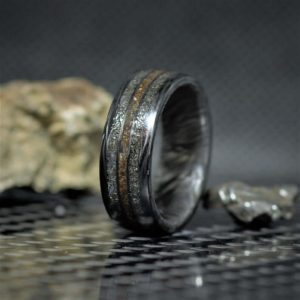 Dinosaur meteorite ring